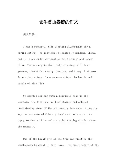 去牛首山春游的作文