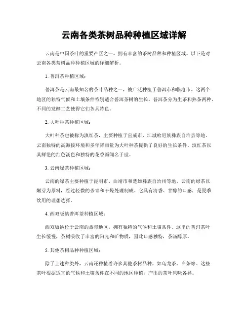 云南各类茶树品种种植区域详解