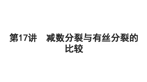 高考生物一轮复习必修1第四单元细胞的生命历程第17讲减数分裂与有丝分裂的比较课件