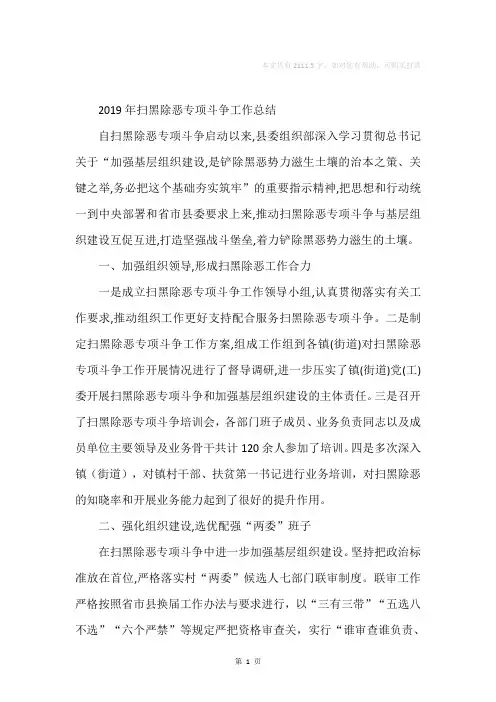 2019年扫黑除恶专项斗争工作总结