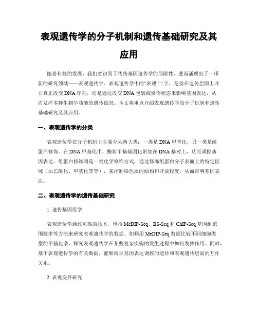 表观遗传学的分子机制和遗传基础研究及其应用