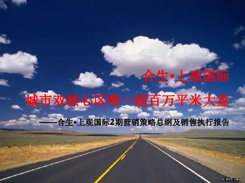 惠州合生上观国际2期营销策略总纲及销售执行报告
