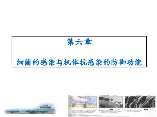第六章细菌的感染与免疫ppt课件
