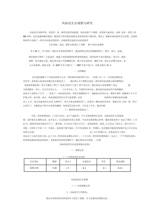 凤仙花生长记录