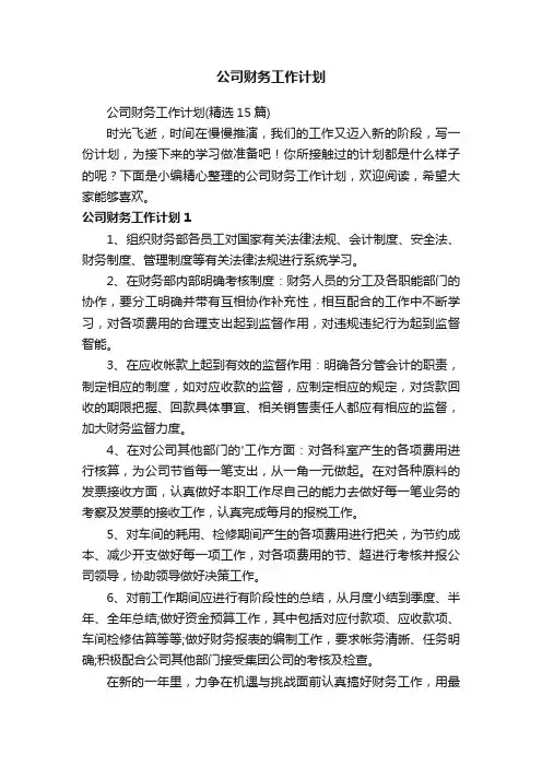 公司财务工作计划（精选15篇）