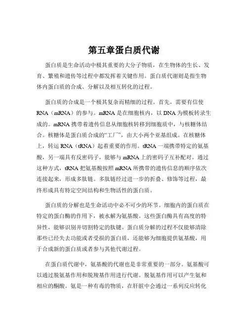 第五章蛋白质代谢