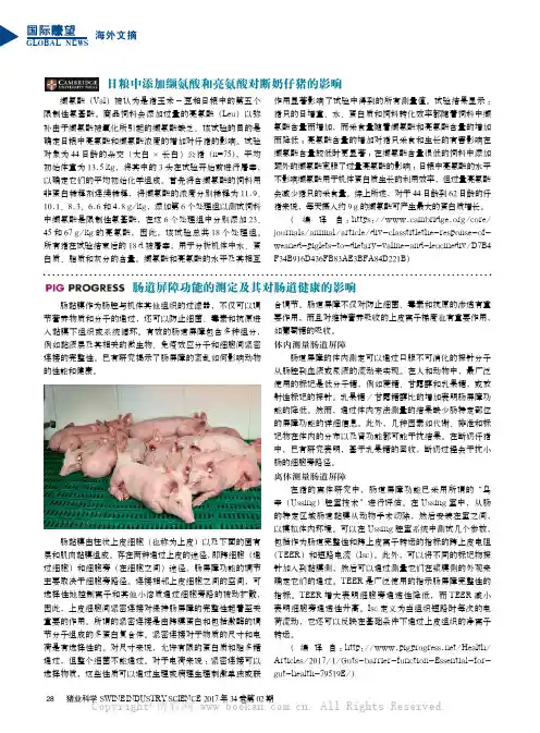 肠道屏障功能的测定及其对肠道健康的影响