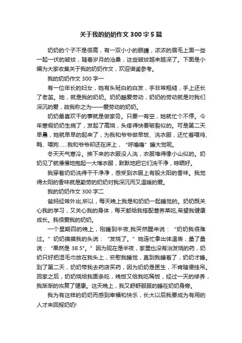 关于我的奶奶作文300字5篇