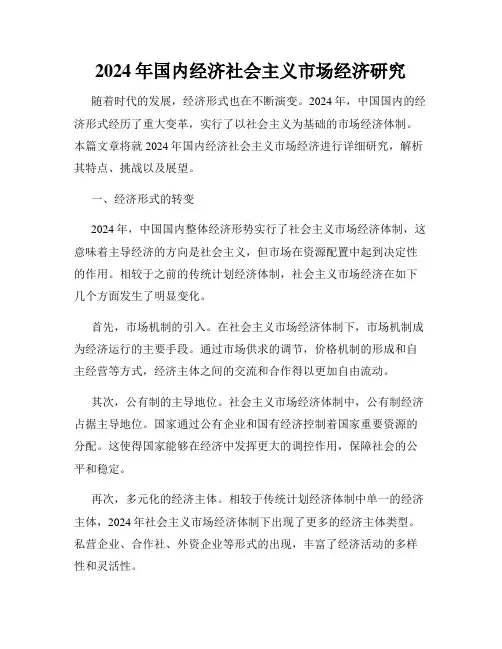 2024年国内经济社会主义市场经济研究