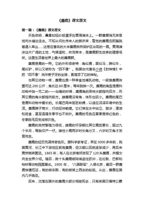 《麋鹿》课文原文