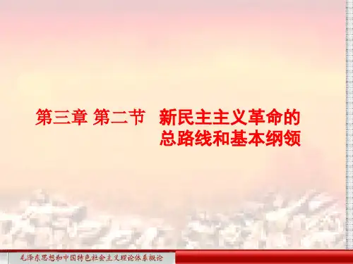 新民主主义革命的总路线.