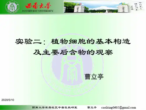 实验二：植物细胞的基本构造及主要后含物的观察