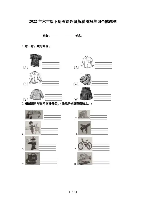 2022年六年级下册英语外研版看图写单词全能题型