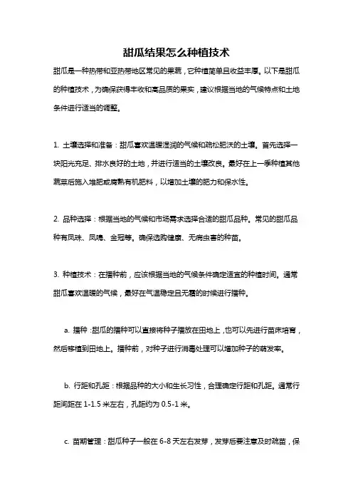 甜瓜结果怎么种植技术