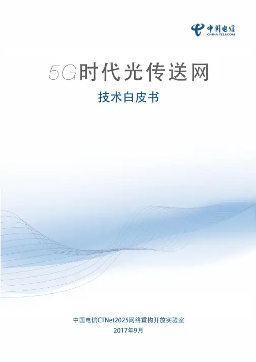 G时代光传送网技术白皮书
