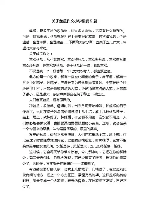 关于丝瓜作文小学集锦5篇