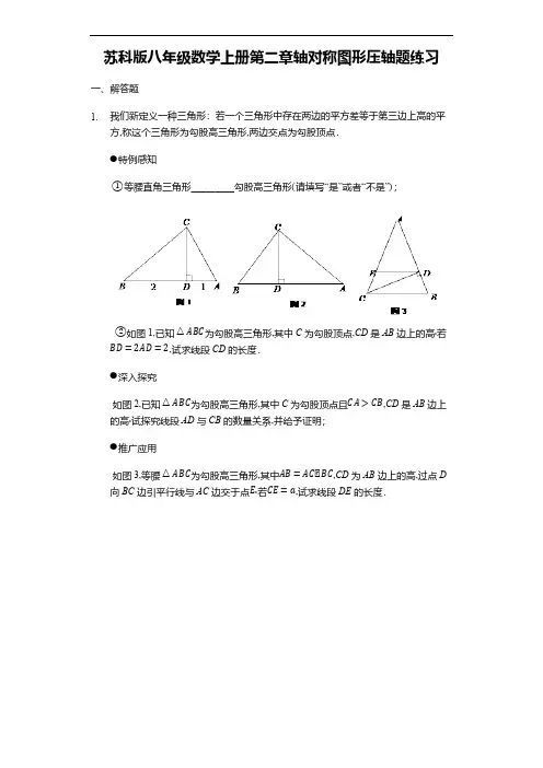 苏科版八年级数学上册第二章轴对称图形压轴题练习