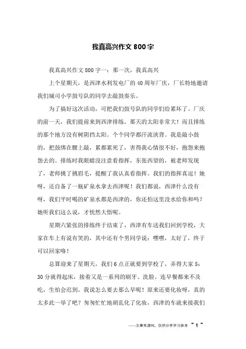 我真高兴作文800字