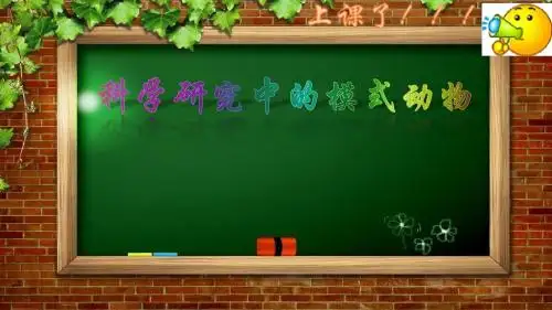 科学界的动物模式