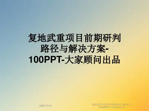 复地武重项目前期研判路径与解决方案100PPT大家顾问出品