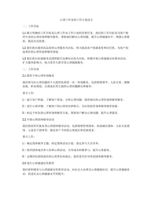 心理工作室的工作计划范文