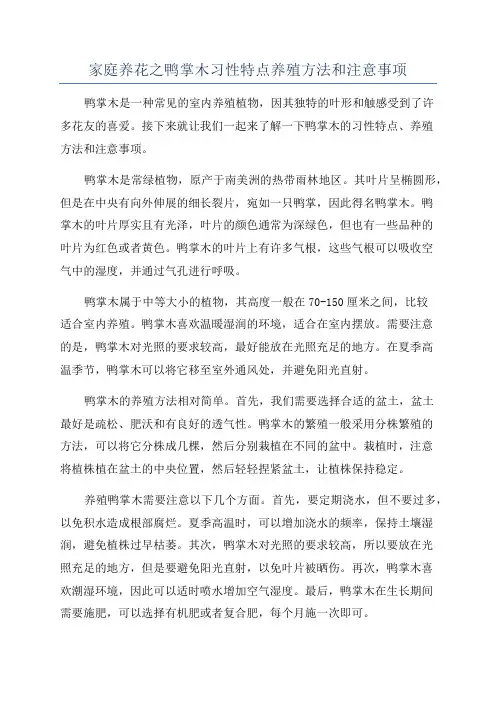 家庭养花之鸭掌木习性特点养殖方法和注意事项