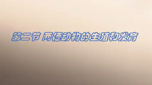 济南版八年级上册第二章第二节 两栖动物的生殖和发育优秀课件