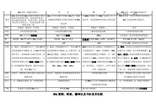 DNA复制与转录、翻译、PCR的区别