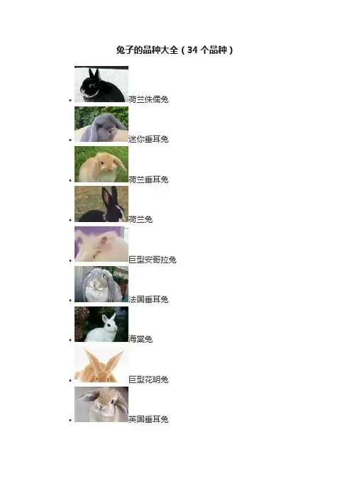 兔子的品种大全（34个品种）