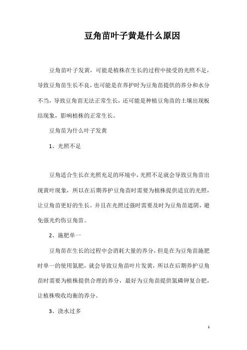 豆角苗叶子黄是什么原因