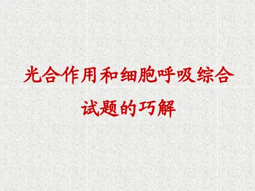 光合作用和细胞呼吸解题技巧