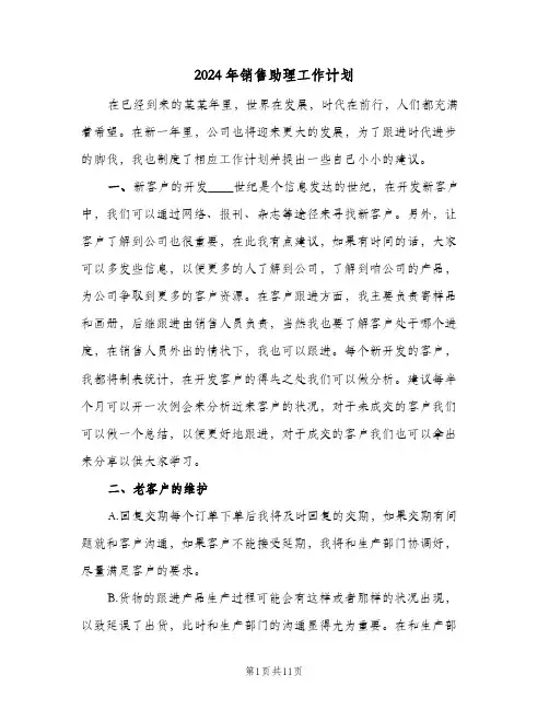 2024年销售助理工作计划（五篇）