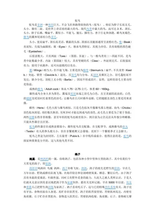 鸟类资料
