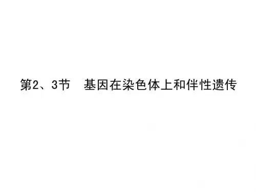 [名校联盟]湖南省永兴县第五中学高中生物必修二课件：必修2 第2章 第2.3节 基因在染色体上和伴性遗传
