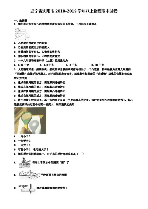辽宁省沈阳市2018-2019学年八上物理期末试卷