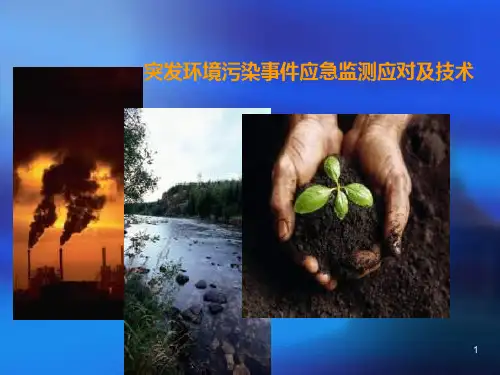突发环境污染事件的应急监测预案及主要技术路线PPT课件