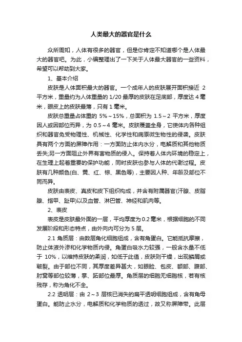 人类最大的器官是什么