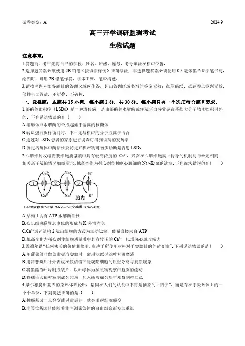 山东省潍坊市2024—2025学年高三上学期开学调研监测考试生物试题(含答案)