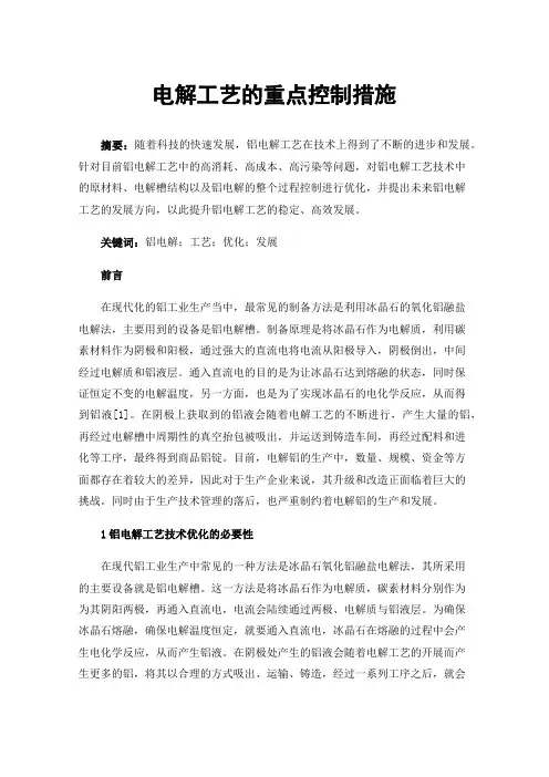 电解工艺的重点控制措施