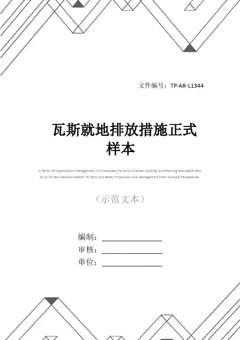 瓦斯就地排放措施正式样本