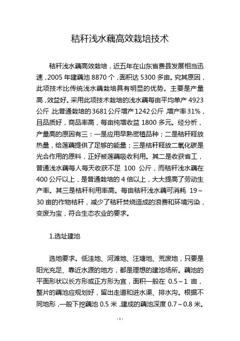 秸秆浅水藕高效栽培技术