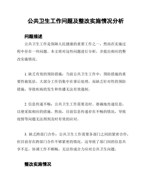 公共卫生工作问题及整改实施情况分析