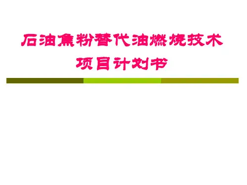 石油焦粉替代油燃烧技术项目