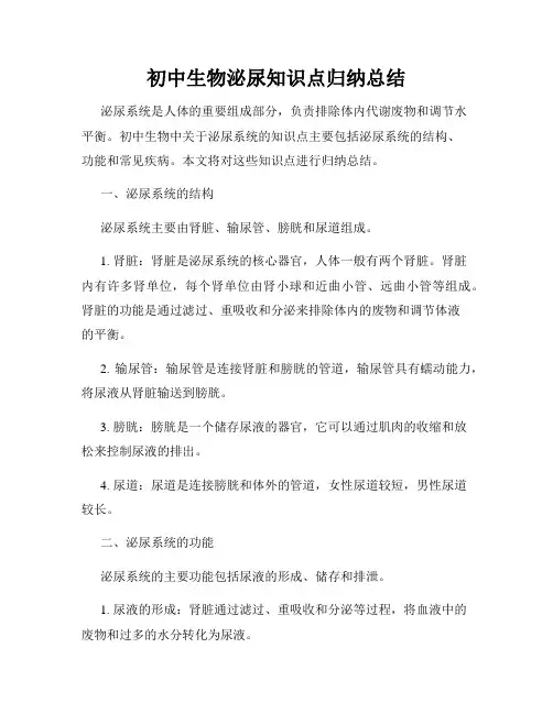 初中生物泌尿知识点归纳总结