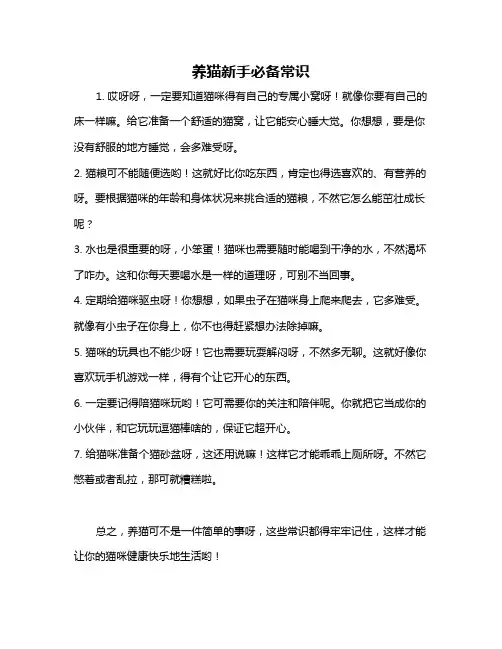 养猫新手必备常识