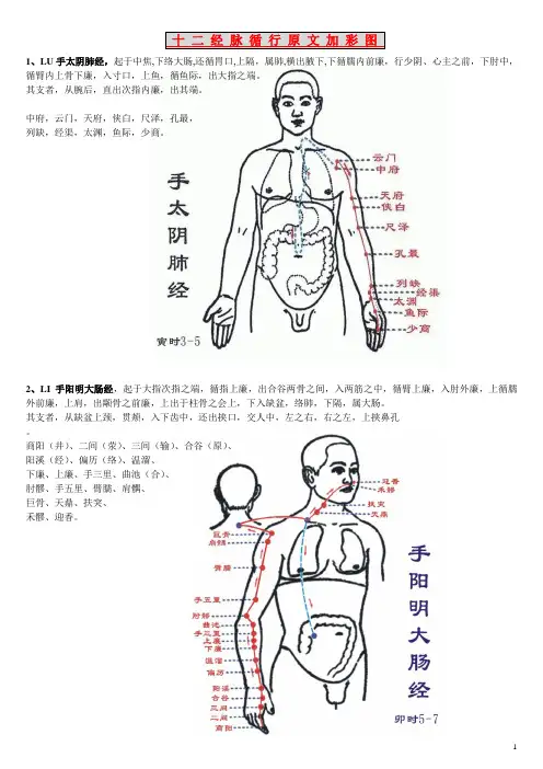 针灸学 十二经脉 循行 灵枢 原文 加 彩图 (经典图文并茂)