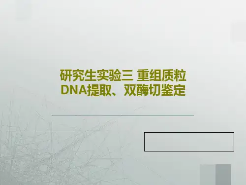 研究生实验三 重组质粒DNA提取、双酶切鉴定共37页
