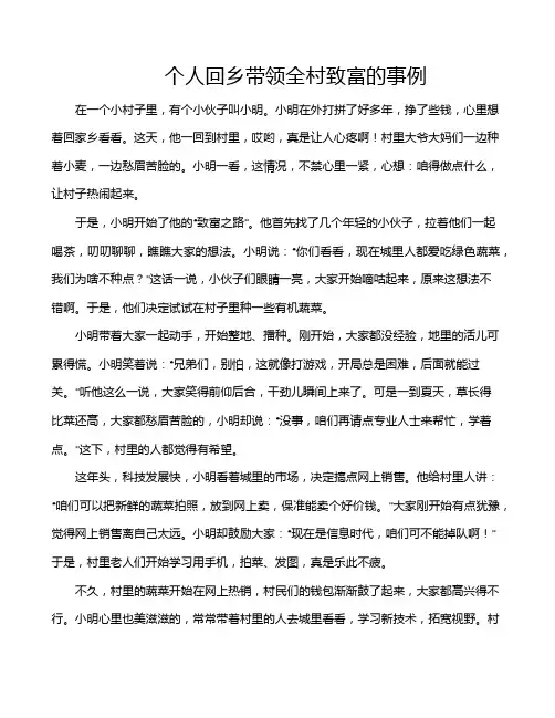 个人回乡带领全村致富的事例