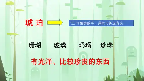 四年级下册语文课件琥珀第一课时部编版共14张PPT
