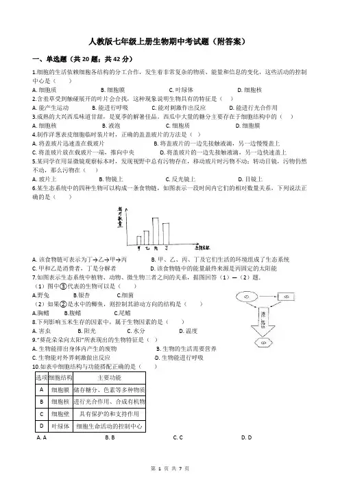人教版七年级上册生物期中考试题(附答案)